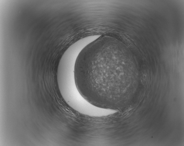 X0000058801010200510171341