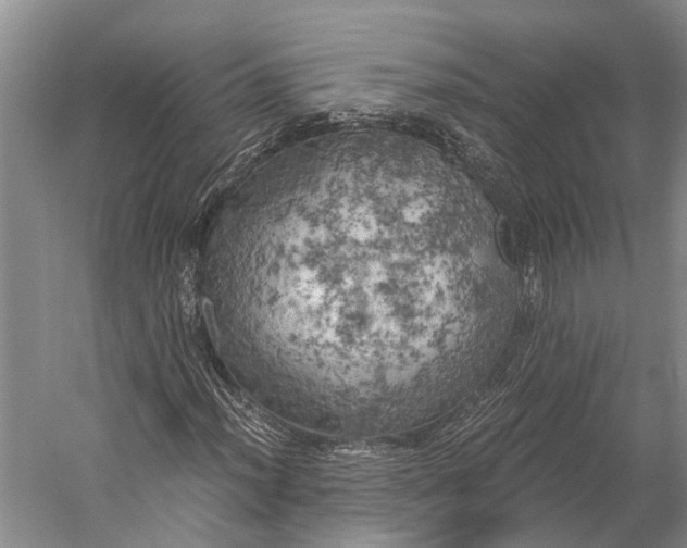 X0000058801012200510171341