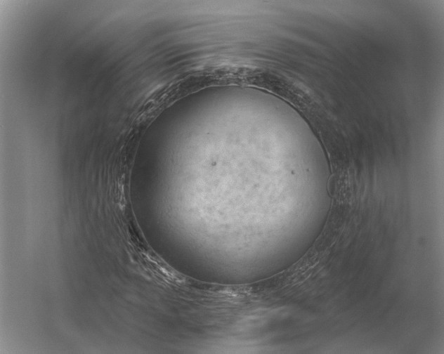 X0000058801013200510171341