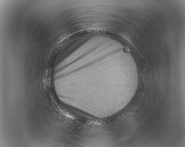 X0000058801015200510171341