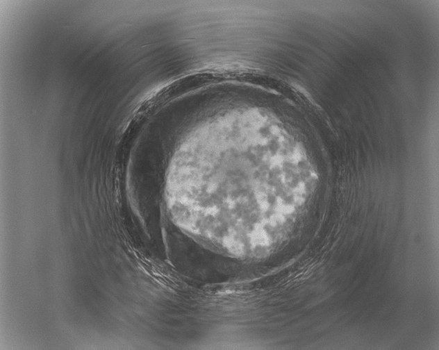 X0000058801016200510171341