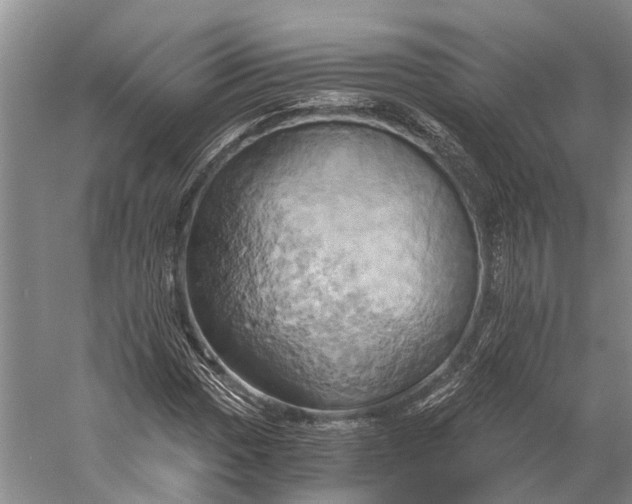 X0000058801017200510171341