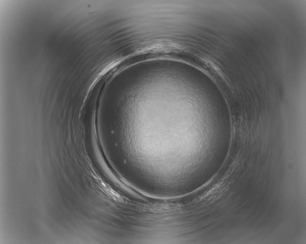 X0000058801018200510171341