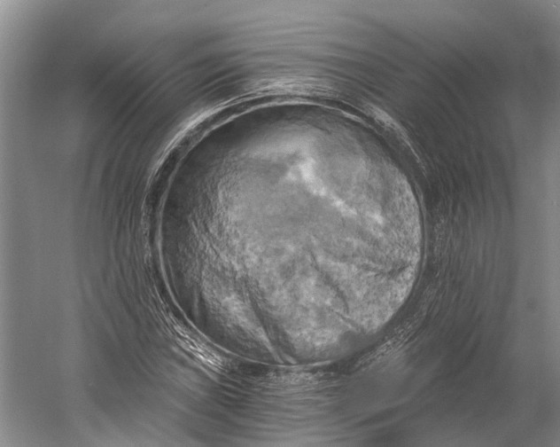 X0000058801019200510171341