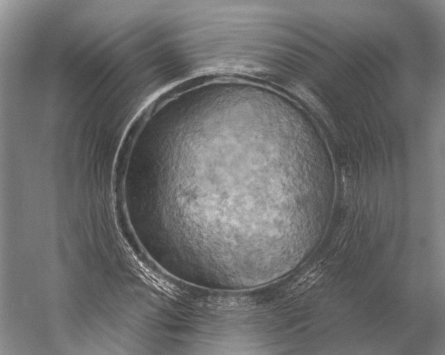 X0000058801020200510171341