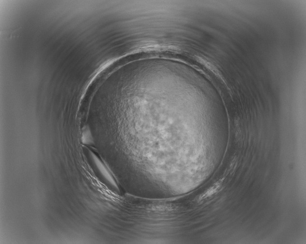 X0000058801021200510171341