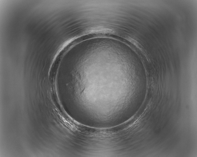 X0000058801022200510171341