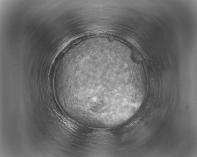 X0000058801023200510171341