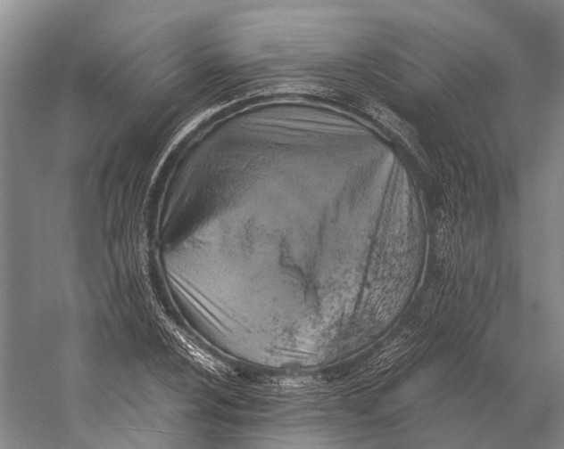 X0000058801024200510171341