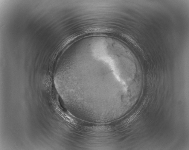 X0000058801025200510171341