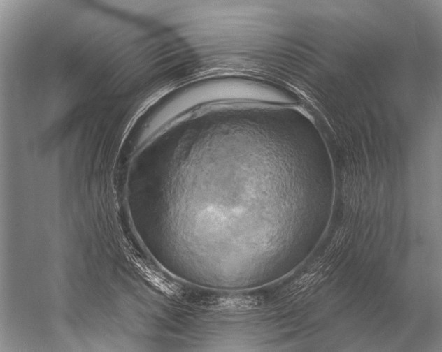 X0000058801026200510171341