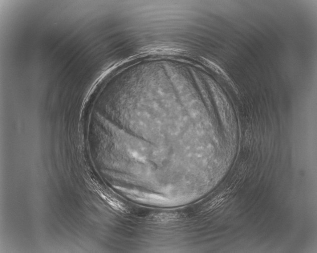 X0000058801027200510171341