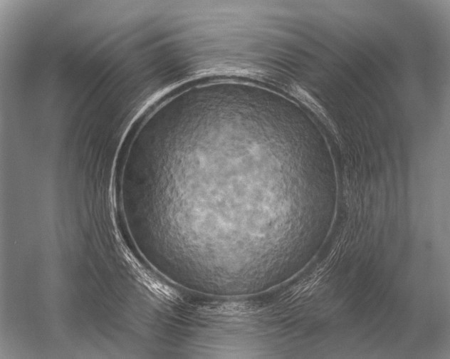 X0000058801028200510171341