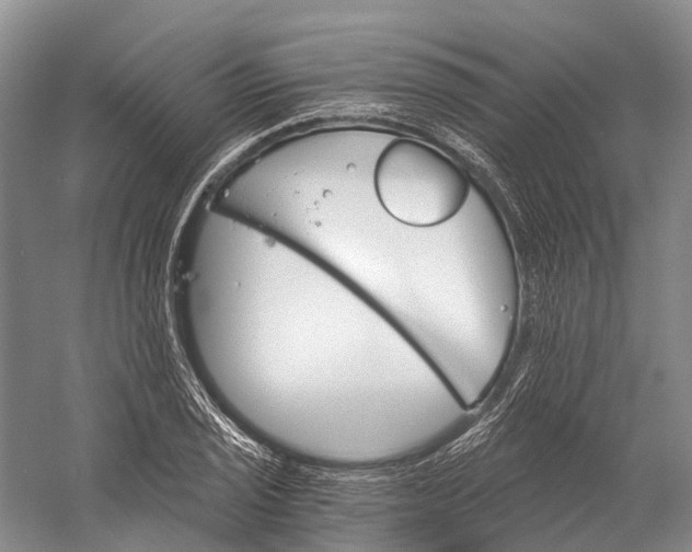 X0000058801029200510171341