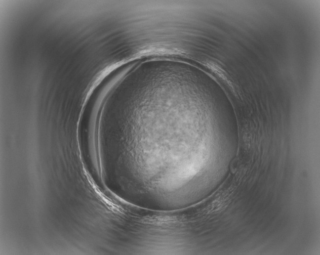 X0000058801030200510171341