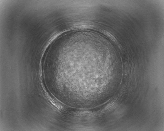 X0000058801031200510171341