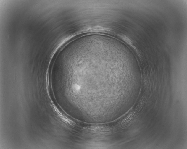 X0000058801032200510171341