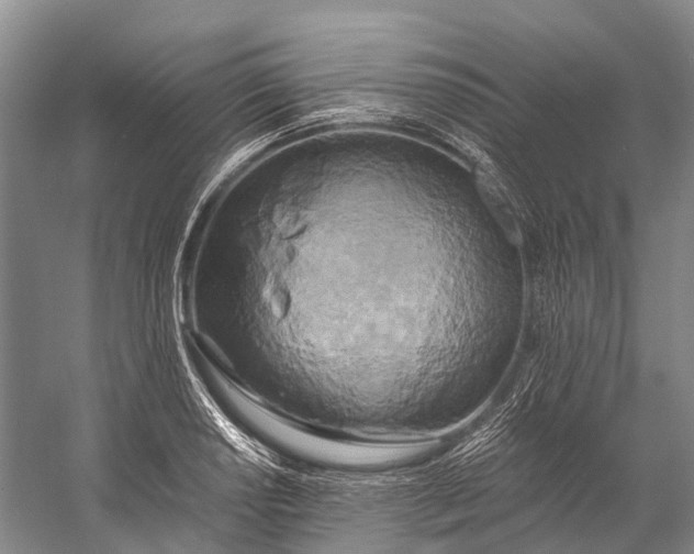 X0000058801034200510171341