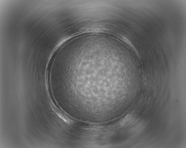 X0000058801035200510171341