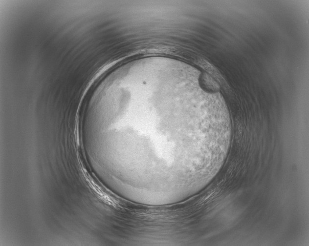 X0000058801036200510171341