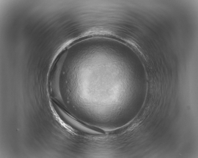 X0000058801038200510171341