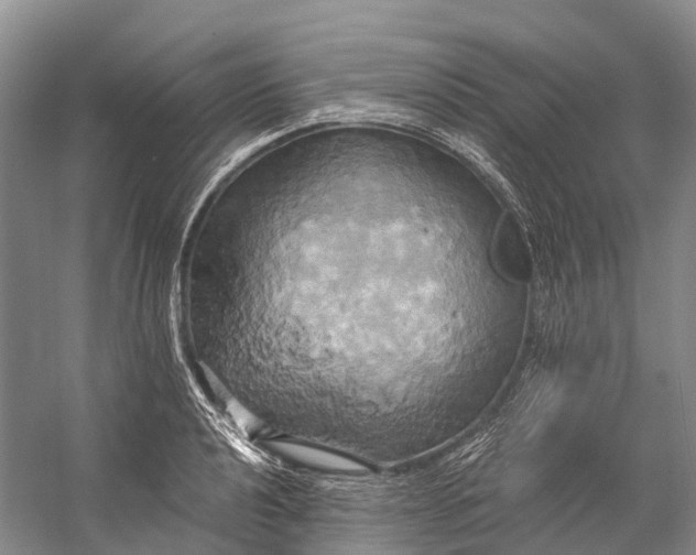 X0000058801040200510171341