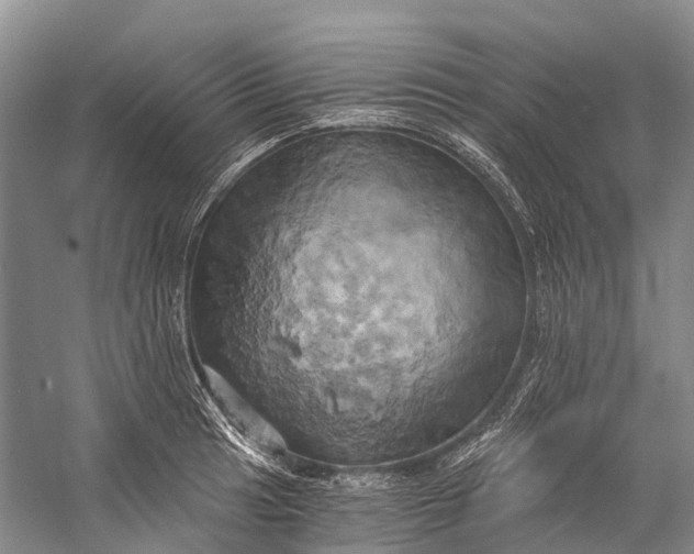 X0000058801041200510171341