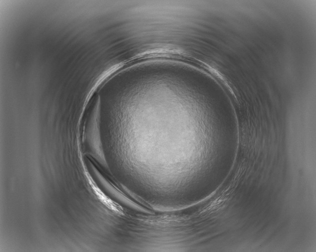 X0000058801042200510171341