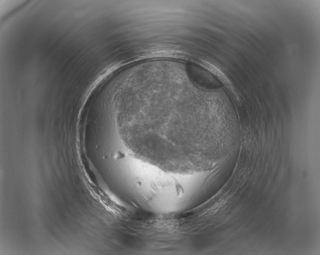 X0000058801043200510171341