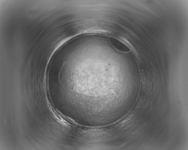 X0000058801044200510171341