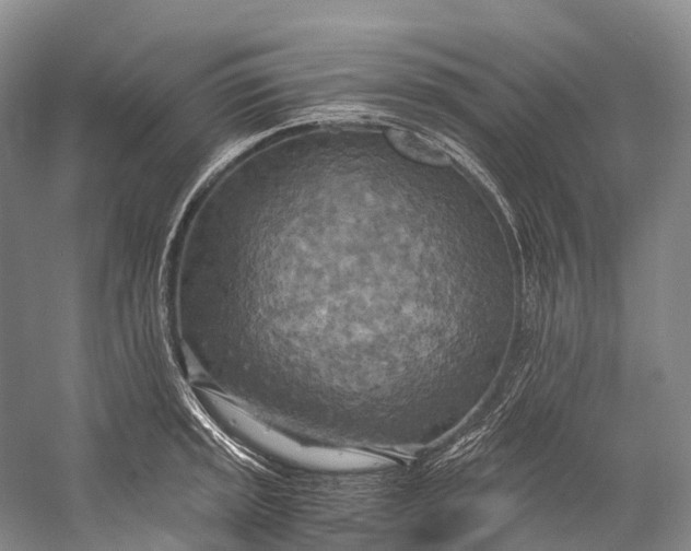 X0000058801045200510171341