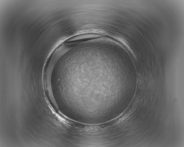 X0000058801046200510171341