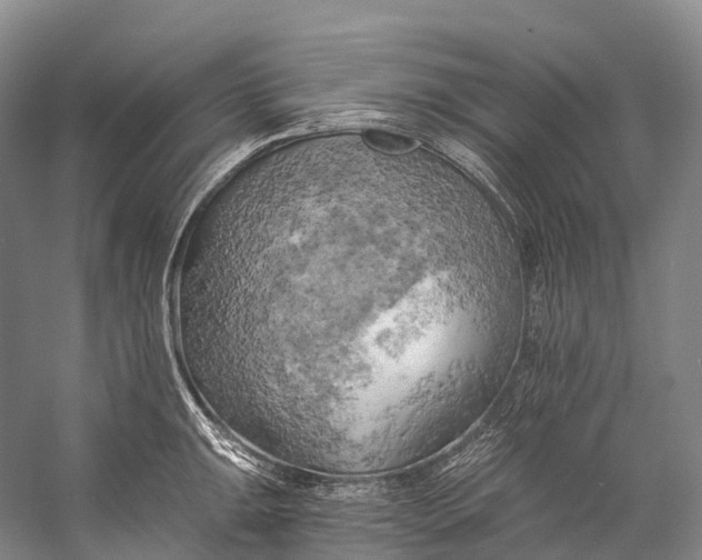 X0000058801047200510171341