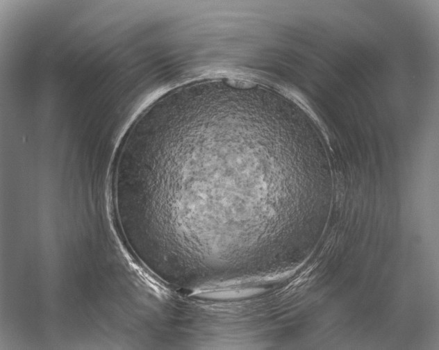 X0000058801048200510171342