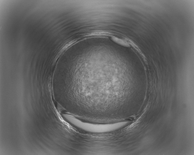 X0000058801049200510171342