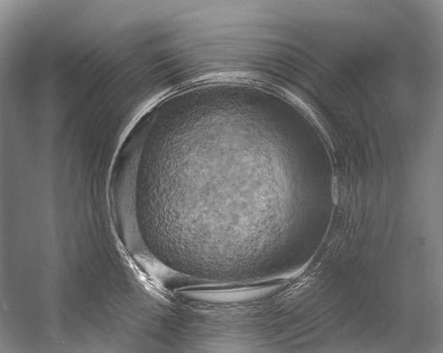 X0000058801050200510171342