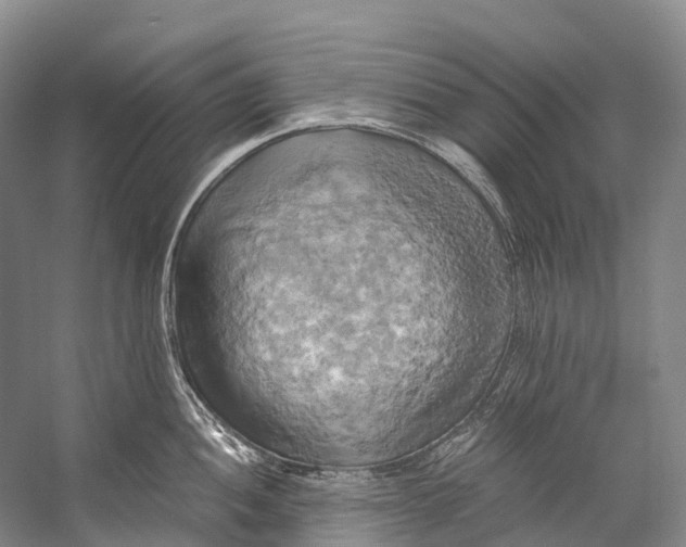 X0000058801052200510171342