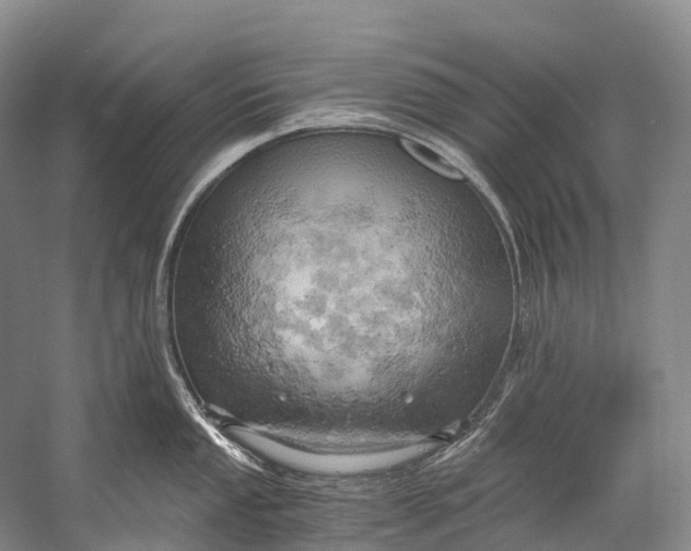 X0000058801053200510171342