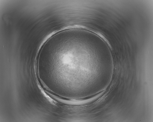 X0000058801054200510171342