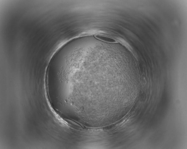 X0000058801055200510171342