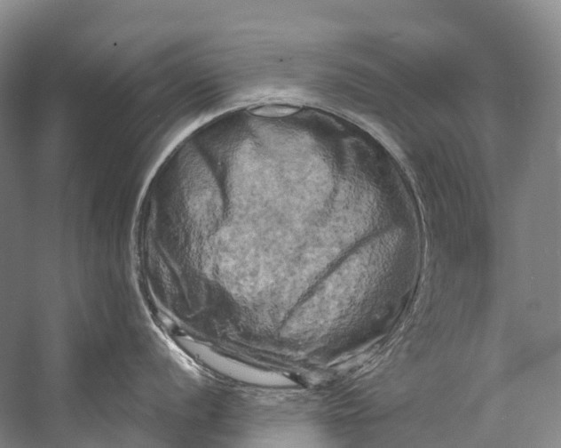 X0000058801056200510171342