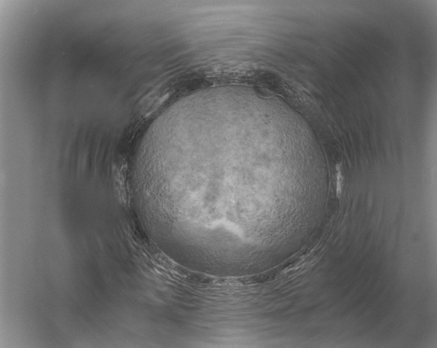 X0000058801059200510171341