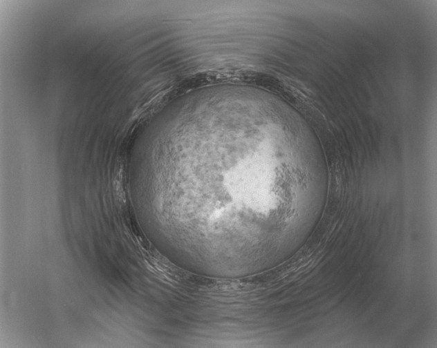 X0000058801060200510171341