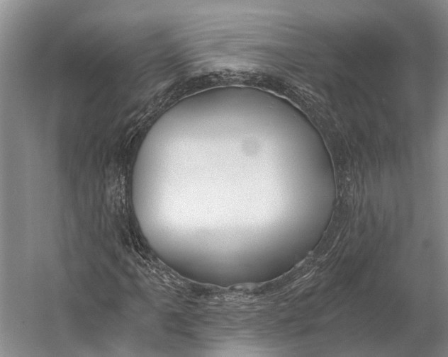 X0000058801061200510171341