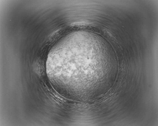 X0000058801062200510171341