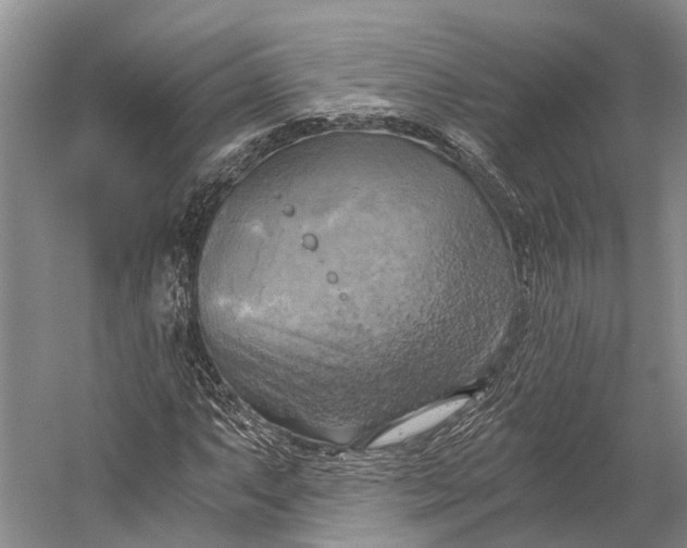 X0000058801063200510171341