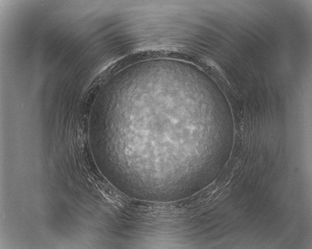 X0000058801064200510171341