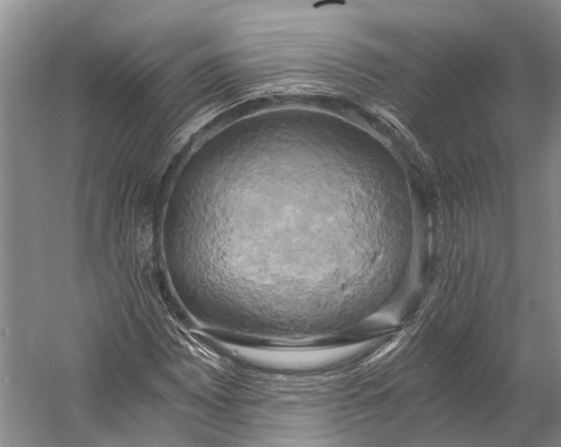 X0000058801065200510171341