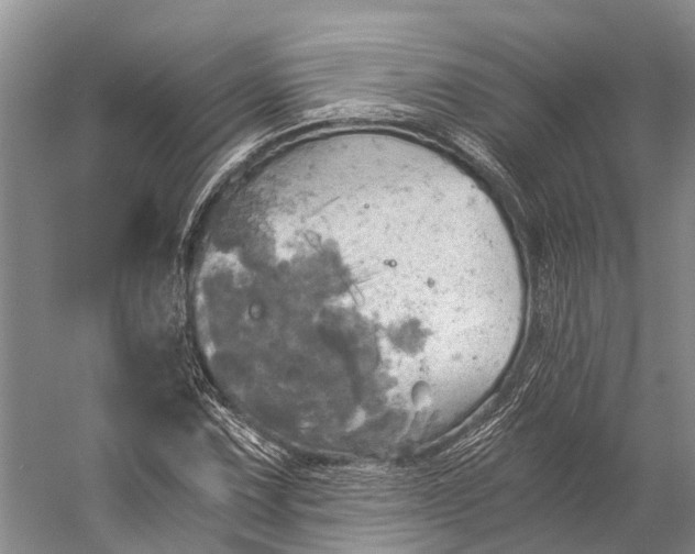 X0000058801067200510171341