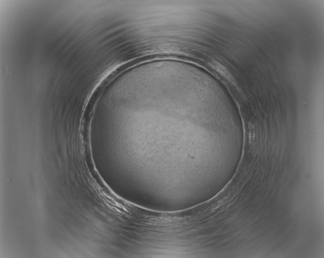 X0000058801068200510171341